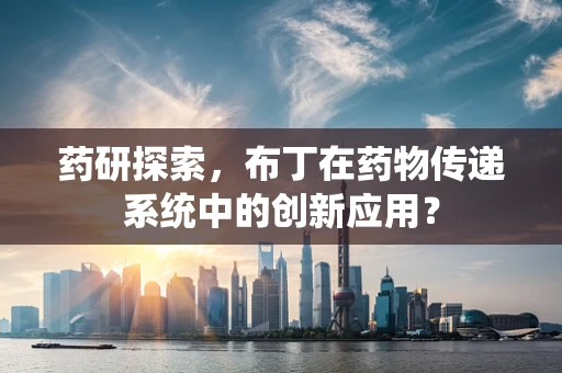 药研探索，布丁在药物传递系统中的创新应用？