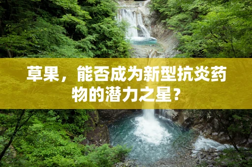 草果，能否成为新型抗炎药物的潜力之星？