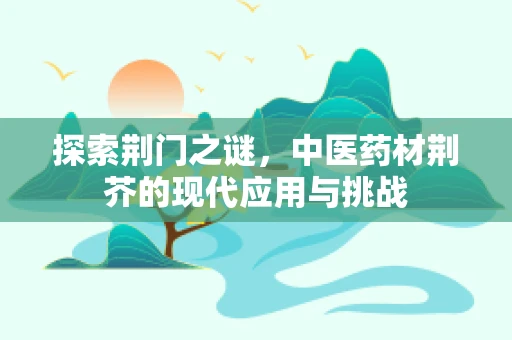 探索荆门之谜，中医药材荆芥的现代应用与挑战