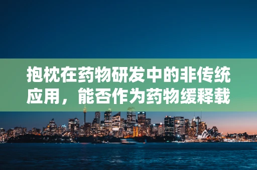 抱枕在药物研发中的非传统应用，能否作为药物缓释载体？
