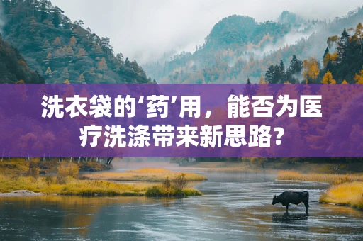 洗衣袋的‘药’用，能否为医疗洗涤带来新思路？