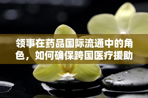 领事在药品国际流通中的角色，如何确保跨国医疗援助的合规与高效？