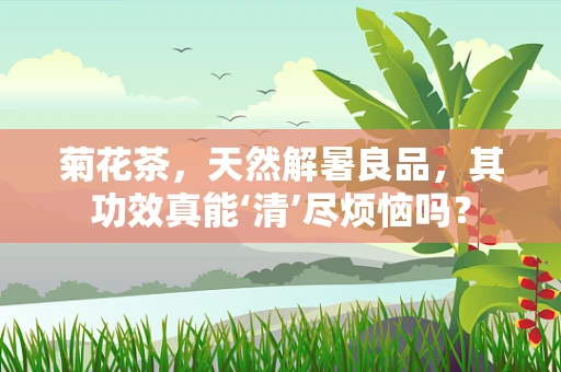 菊花茶，天然解暑良品，其功效真能‘清’尽烦恼吗？
