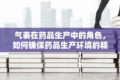 气表在药品生产中的角色，如何确保药品生产环境的精准控制？