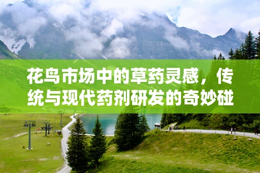 花鸟市场中的草药灵感，传统与现代药剂研发的奇妙碰撞