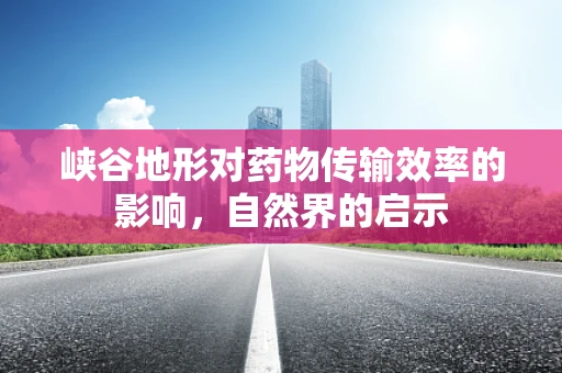 峡谷地形对药物传输效率的影响，自然界的启示