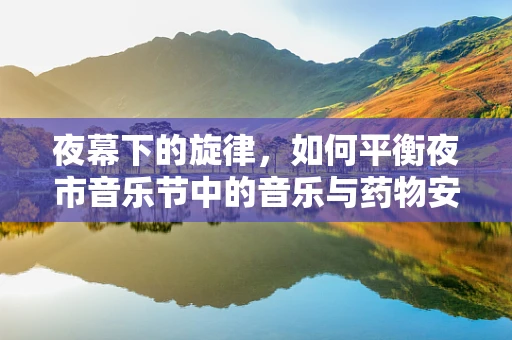 夜幕下的旋律，如何平衡夜市音乐节中的音乐与药物安全？
