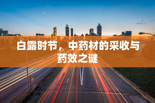 白露时节，中药材的采收与药效之谜