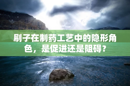刷子在制药工艺中的隐形角色，是促进还是阻碍？