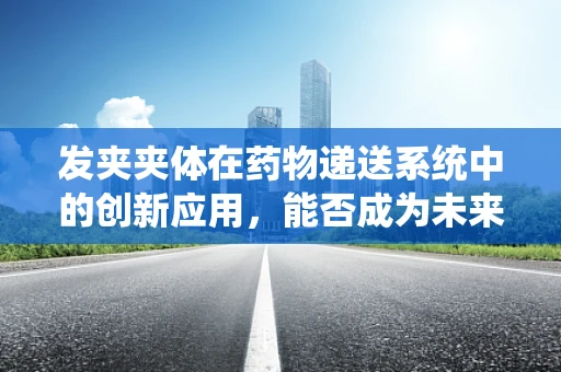 发夹夹体在药物递送系统中的创新应用，能否成为未来药剂研发的‘隐形冠军’？