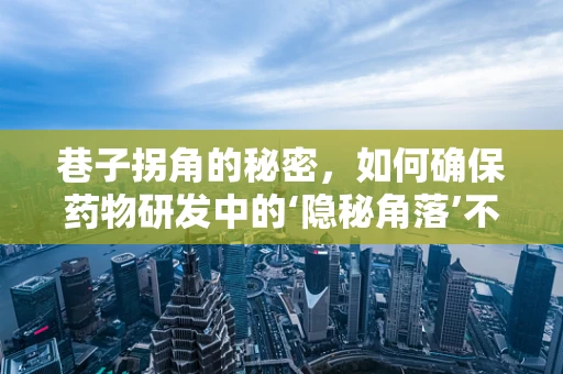 巷子拐角的秘密，如何确保药物研发中的‘隐秘角落’不被忽视？