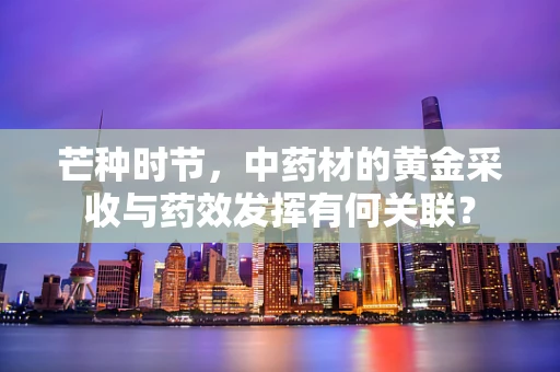 芒种时节，中药材的黄金采收与药效发挥有何关联？
