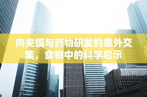 肉夹馍与药物研发的意外交集，食物中的科学启示