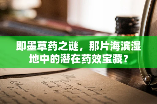 即墨草药之谜，那片海滨湿地中的潜在药效宝藏？