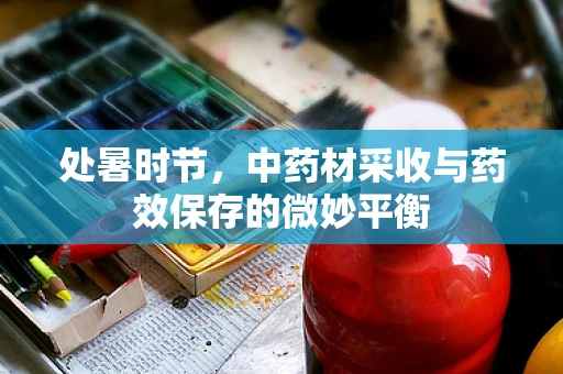 处暑时节，中药材采收与药效保存的微妙平衡