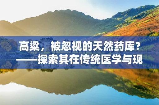 高粱，被忽视的天然药库？——探索其在传统医学与现代药剂研发中的潜力