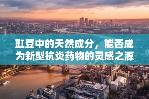 豇豆中的天然成分，能否成为新型抗炎药物的灵感之源？