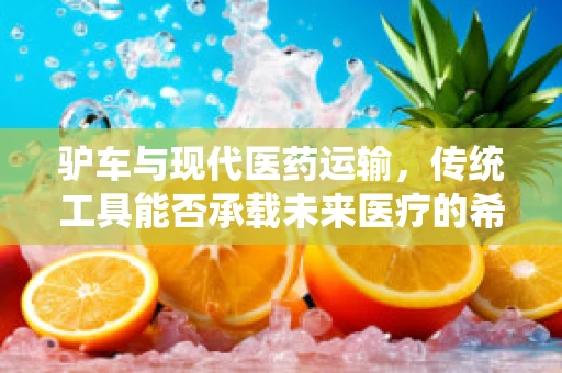 驴车与现代医药运输，传统工具能否承载未来医疗的希望？