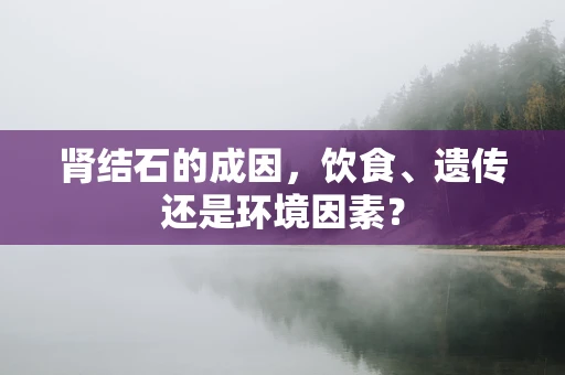 肾结石的成因，饮食、遗传还是环境因素？