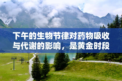 下午的生物节律对药物吸收与代谢的影响，是黄金时段还是挑战时刻？
