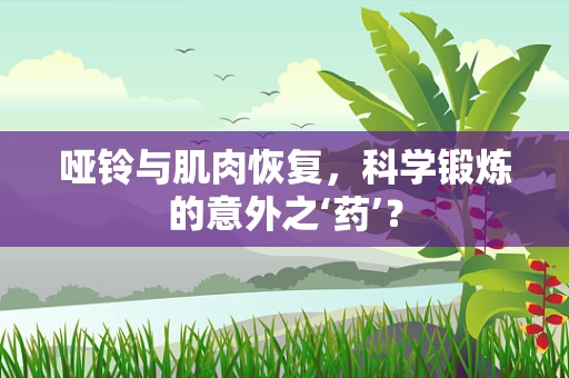 哑铃与肌肉恢复，科学锻炼的意外之‘药’？