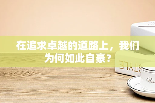 在追求卓越的道路上，我们为何如此自豪？