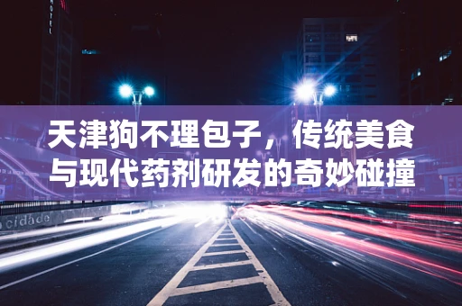 天津狗不理包子，传统美食与现代药剂研发的奇妙碰撞