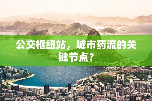 公交枢纽站，城市药流的关键节点？