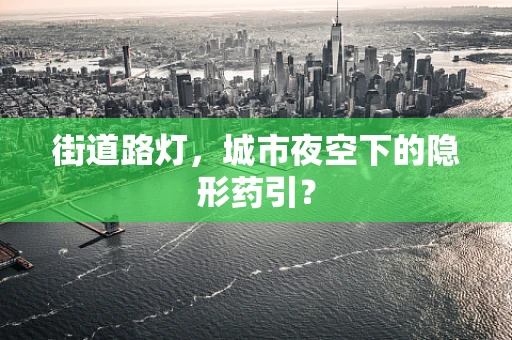 街道路灯，城市夜空下的隐形药引？
