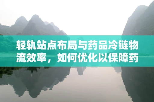 轻轨站点布局与药品冷链物流效率，如何优化以保障药品安全？