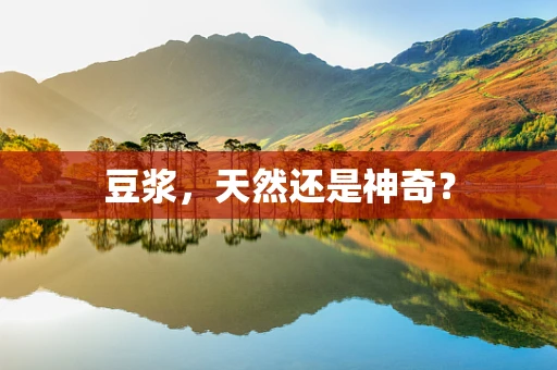 豆浆，天然还是神奇？