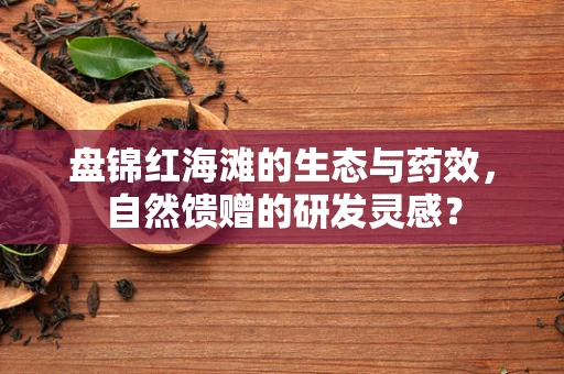 盘锦红海滩的生态与药效，自然馈赠的研发灵感？