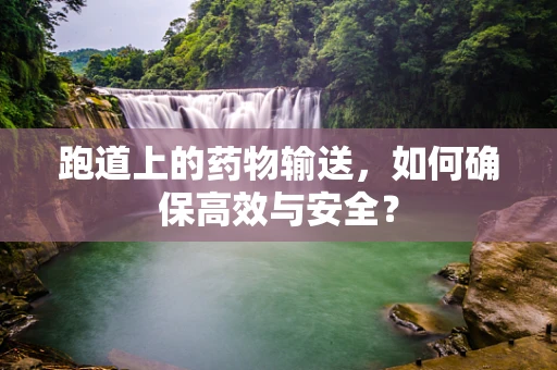 跑道上的药物输送，如何确保高效与安全？