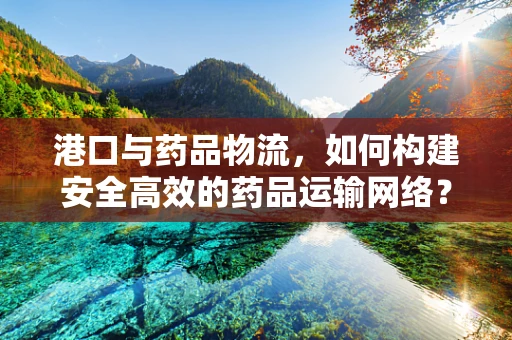 港口与药品物流，如何构建安全高效的药品运输网络？