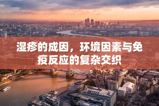 湿疹的成因，环境因素与免疫反应的复杂交织