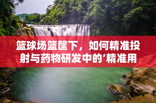 篮球场篮筐下，如何精准投射与药物研发中的‘精准用药’有何异曲同工之处？