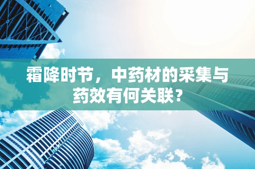 霜降时节，中药材的采集与药效有何关联？