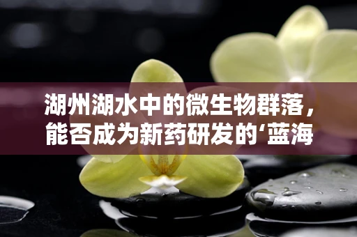 湖州湖水中的微生物群落，能否成为新药研发的‘蓝海’？