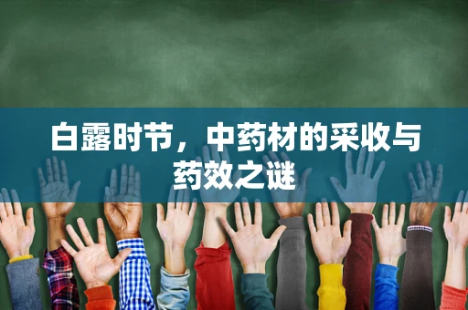 白露时节，中药材的采收与药效之谜