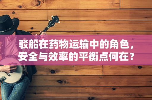 驳船在药物运输中的角色，安全与效率的平衡点何在？