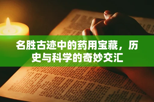 名胜古迹中的药用宝藏，历史与科学的奇妙交汇