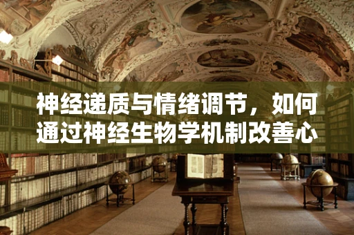 神经递质与情绪调节，如何通过神经生物学机制改善心理健康？