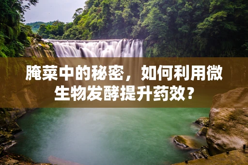 腌菜中的秘密，如何利用微生物发酵提升药效？