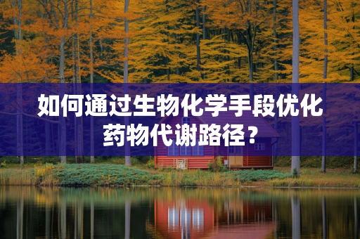 如何通过生物化学手段优化药物代谢路径？