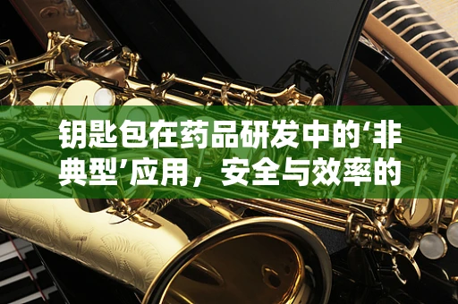 钥匙包在药品研发中的‘非典型’应用，安全与效率的双重考量
