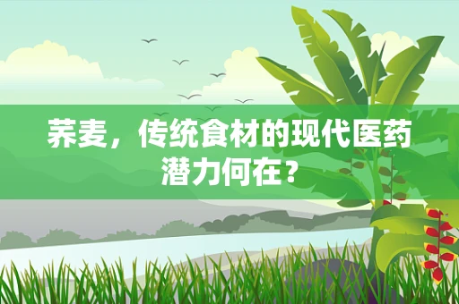 荞麦，传统食材的现代医药潜力何在？