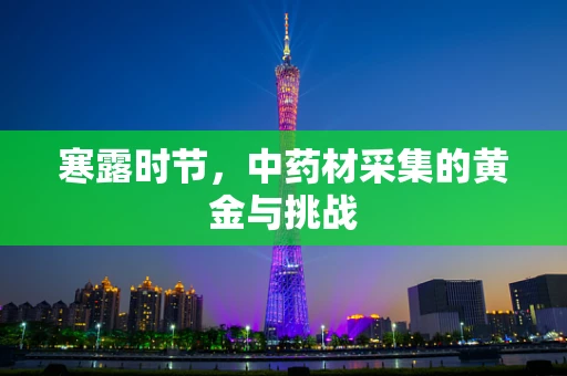 寒露时节，中药材采集的黄金与挑战