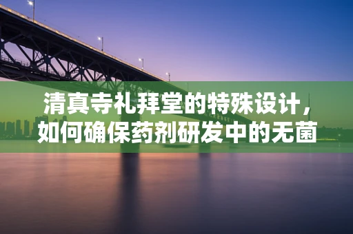 清真寺礼拜堂的特殊设计，如何确保药剂研发中的无菌环境？