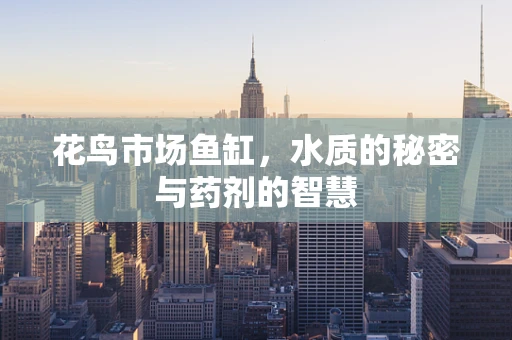 花鸟市场鱼缸，水质的秘密与药剂的智慧