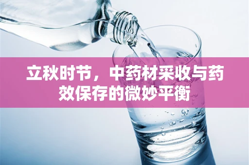 立秋时节，中药材采收与药效保存的微妙平衡